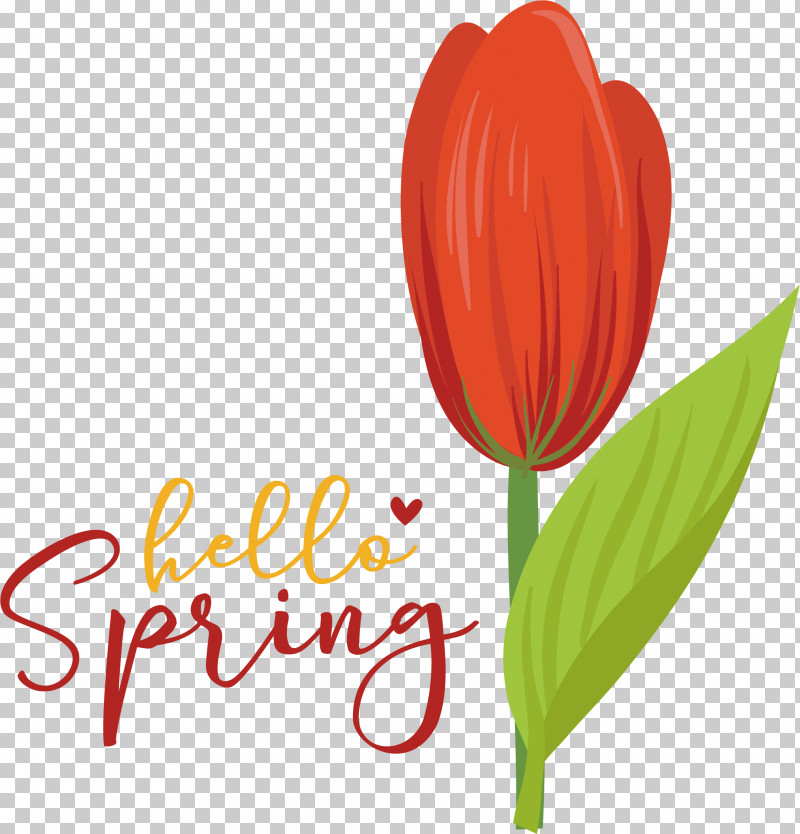Flower Cut Flowers Tulip Petal Font PNG, Clipart, Biology, Cut Flowers, Flower, Meter, Petal Free PNG Download