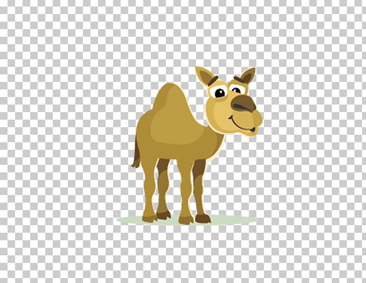 Camel Cartoon PNG, Clipart, Animal, Animals, Bactrian Camel, Came, Camel Free PNG Download