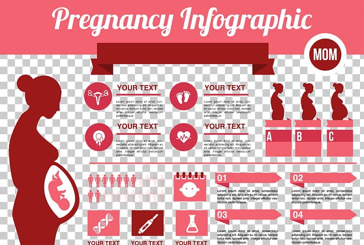 Infographic Pregnancy Childbirth PNG, Clipart, Advertising, Brand, Communication, Data, Holidays Free PNG Download