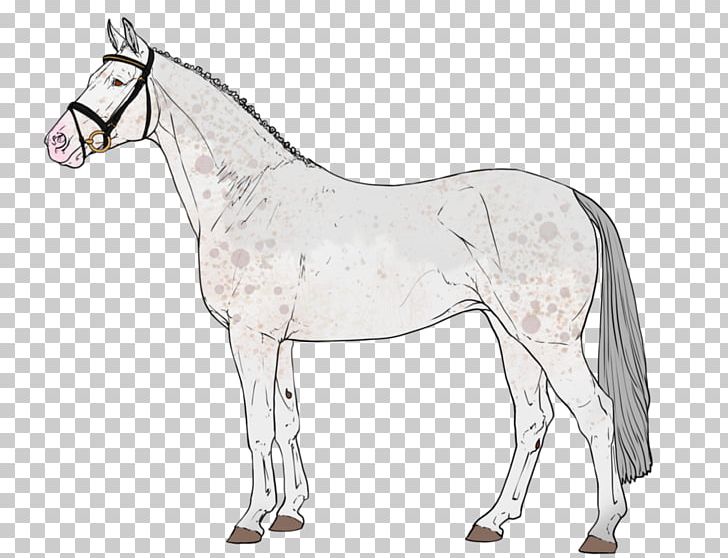 Mustang Pony Foal Stallion Bridle PNG, Clipart, Animal, Animal Figure, Bridle, Colt, Drawing Free PNG Download