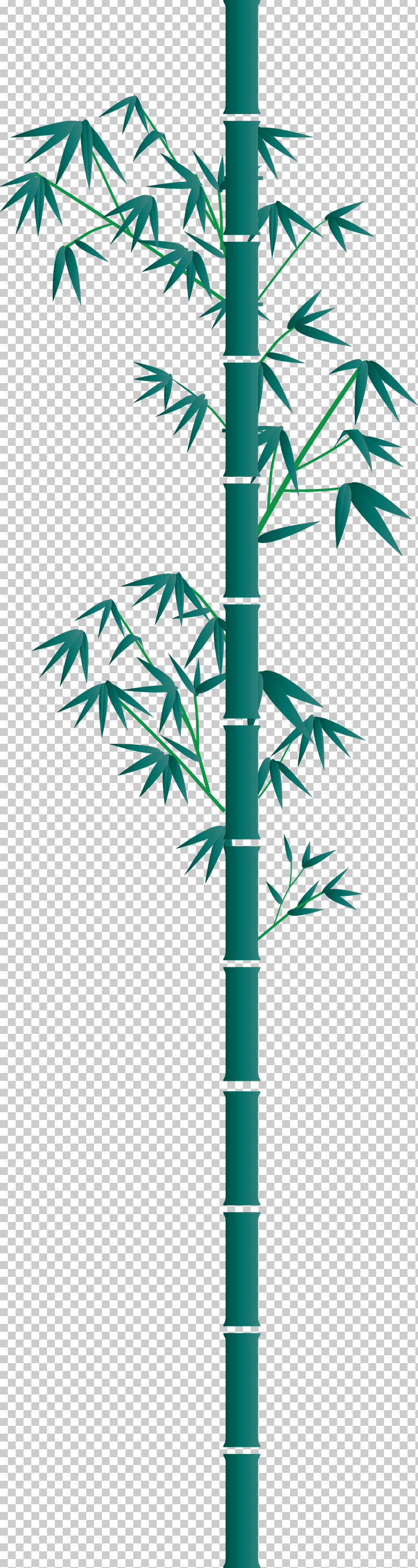 Bamboo Leaf PNG, Clipart, Arecales, Bamboo, Branch, Hemp Family, Leaf Free PNG Download