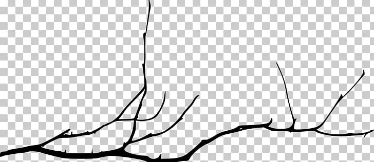 Branch Tree Twig PNG, Clipart, Artwork, Black, Black And White, Branch, Clip Art Free PNG Download