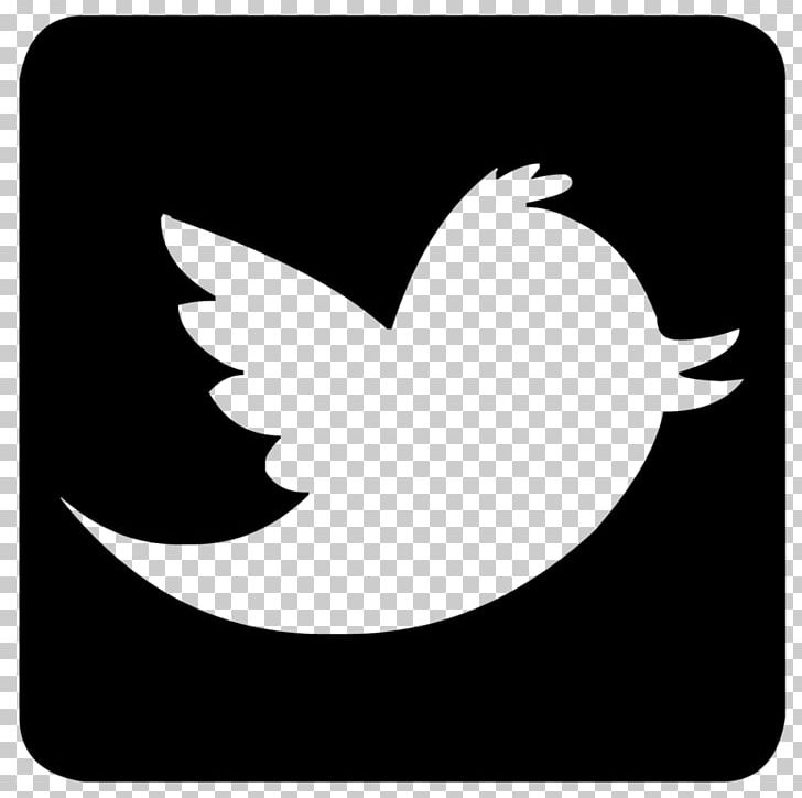 Computer Icons Blog Social Media PNG, Clipart, Beak, Bird, Black, Black And White, Black Icon Free PNG Download