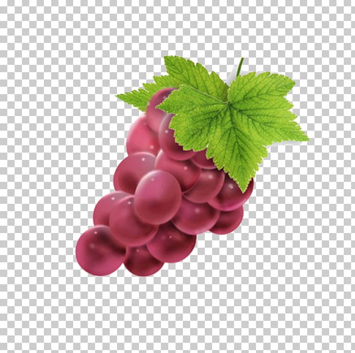 Grape Berry Seedless Fruit PNG, Clipart, Alcoholic Drink, Box, Food, Fruit, Fruit Nut Free PNG Download
