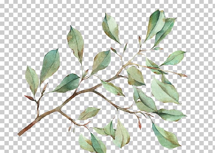 Watercolour Flowers Watercolor Painting Leaf PNG, Clipart, Autumn Leaves, Branch, Cartoon, Drawing, Fall Leaves Free PNG Download