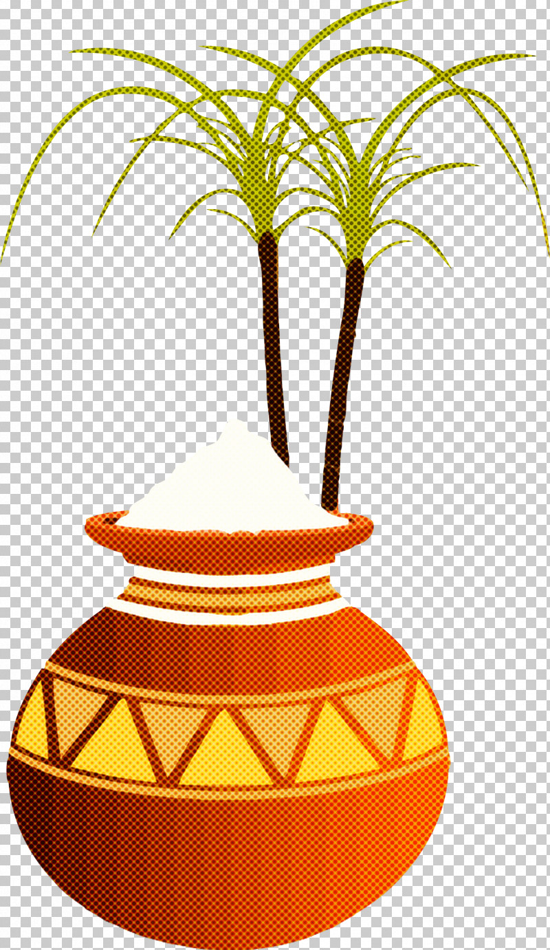 Pongal PNG, Clipart, Arecales, Biology, Flowerpot, Geometry, Line Free PNG Download