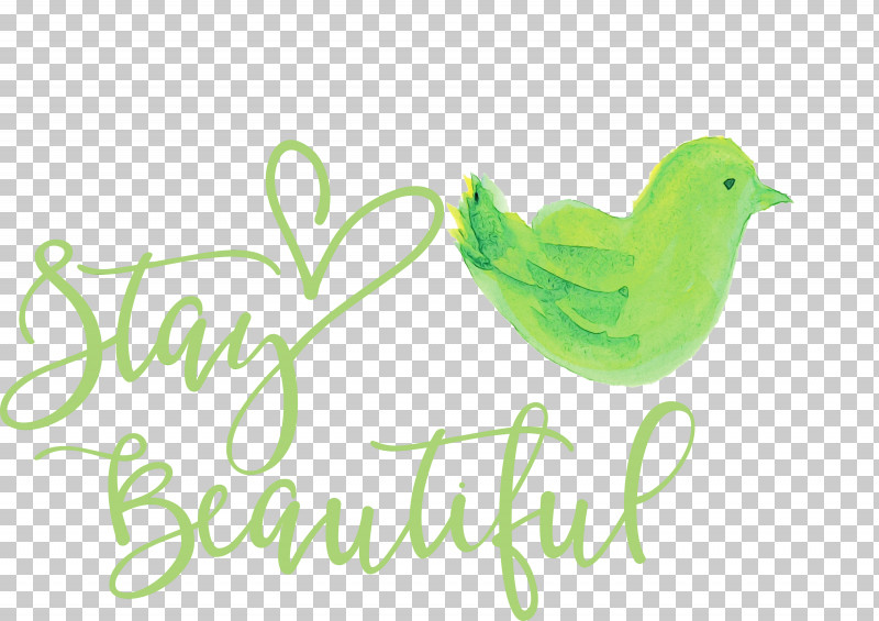 Birds Logo Beak Font Green PNG, Clipart, Beak, Biology, Birds, Fashion, Green Free PNG Download