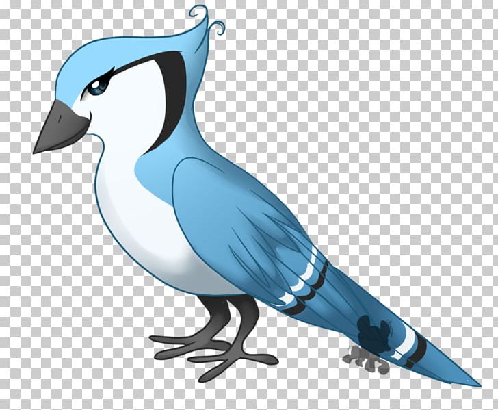 Beak Flightless Bird Wing Feather PNG, Clipart, Animals, Beak, Bird, Blue Jay, Fauna Free PNG Download