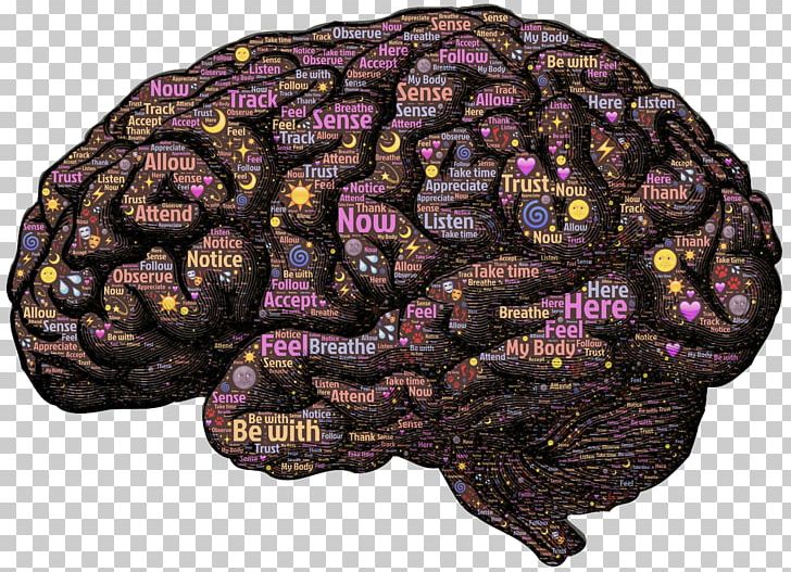 Human Brain Neural Pathway Neuroplasticity Mind PNG, Clipart, Awareness, Brain, Brainstorming, Brain Vector, Brown Free PNG Download