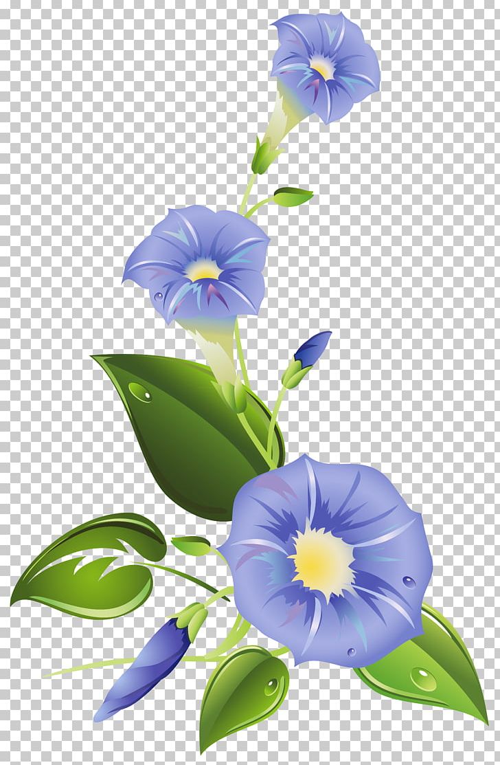 Ipomoea Purpurea Ipomoea Indica Ipomoea Carnea Flower PNG, Clipart, Blue, Clip Art, Flora, Floral Design, Floristry Free PNG Download
