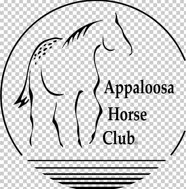 Appaloosa Horse Club American Paint Horse Moscow Colt PNG, Clipart, Appaloosa, Artwork, Black, Face, Fictional Character Free PNG Download