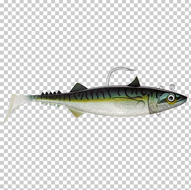 Atlantic Mackerel Fish Cod Herring PNG, Clipart, Animals, Atlantic Mackerel, Bonito, Bony Fish, Chub Mackerel Free PNG Download