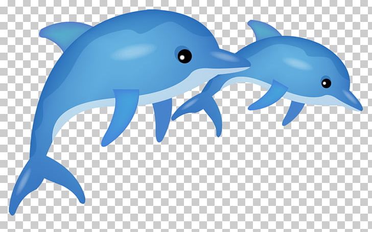Common Bottlenose Dolphin Tucuxi Cartoon PNG, Clipart, Animals, Blue, Cartoon Dolphin, Cute Dolphin, Dolphin Free PNG Download
