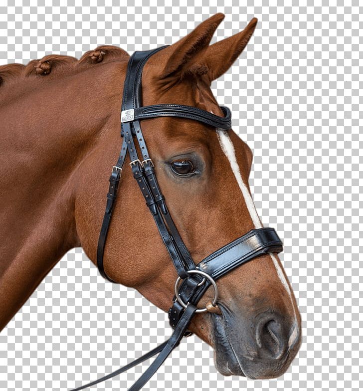 Horse Bridle Halter Equestrian Bit PNG, Clipart, Animals, Bit, Bitless Bridle, Bridle, Bridle Gossip Free PNG Download