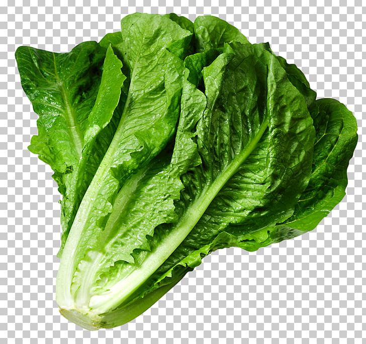 Iceberg Lettuce Greek Salad Wrap Caesar Salad PNG, Clipart, Cabbage, Caesar Salad, Celtuce, Chard, Choy Sum Free PNG Download