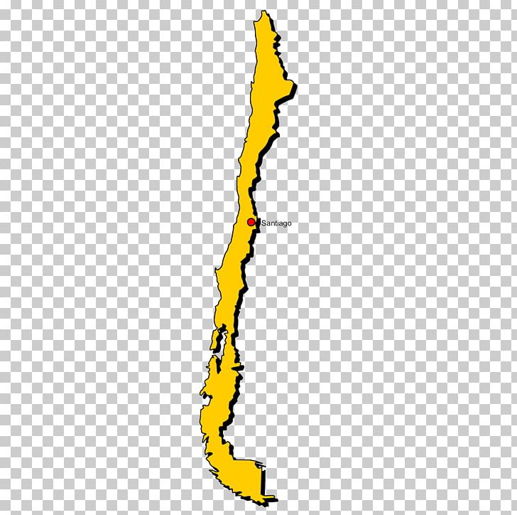 World Map Concepción Geography PNG, Clipart, Border, Chile, Copyright, Geography, Karte Free PNG Download