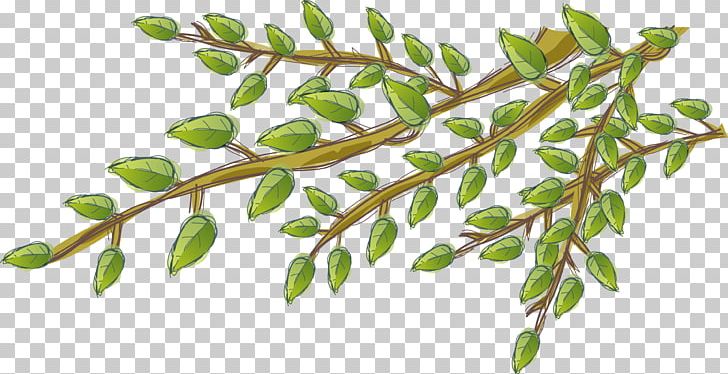 Branch Tree PNG, Clipart, Branch, Gratis, Green Leaf, Leaf, Miscellaneous Free PNG Download