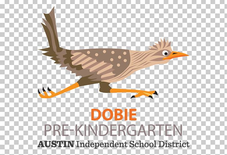 J. Frank Dobie Pre-Kindergarten Center Mesquite Independent School District Education PNG, Clipart, Austin, Austin, Beak, Bird, Classroom Free PNG Download