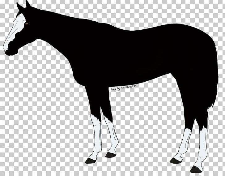 Mule Foal Stallion Mare Colt PNG, Clipart, Black And White, Colt, Foal, Giraffidae, Halter Free PNG Download
