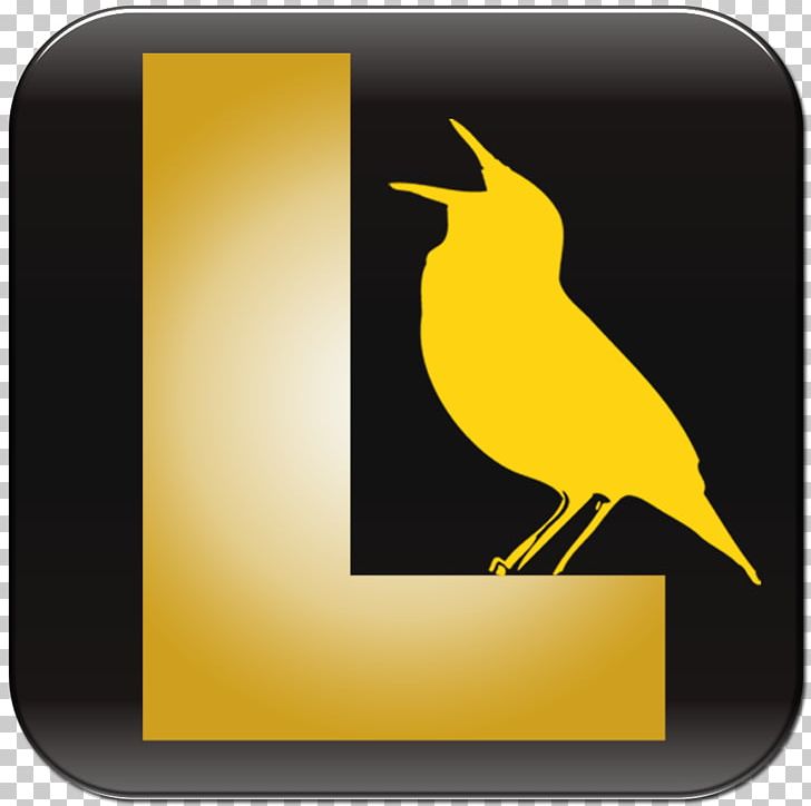 Bird Vocalization Beak Birdwatching Song PNG, Clipart, America, Animals, Apple, App Store, Beak Free PNG Download