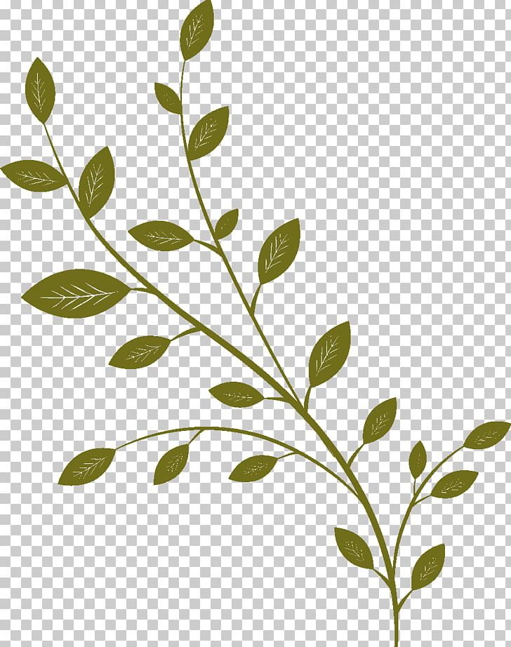 Twig Drawing Cartoon Follaje PNG, Clipart, Art, Balloon Cartoon, Branch, Branches, Branches And Leaves Free PNG Download