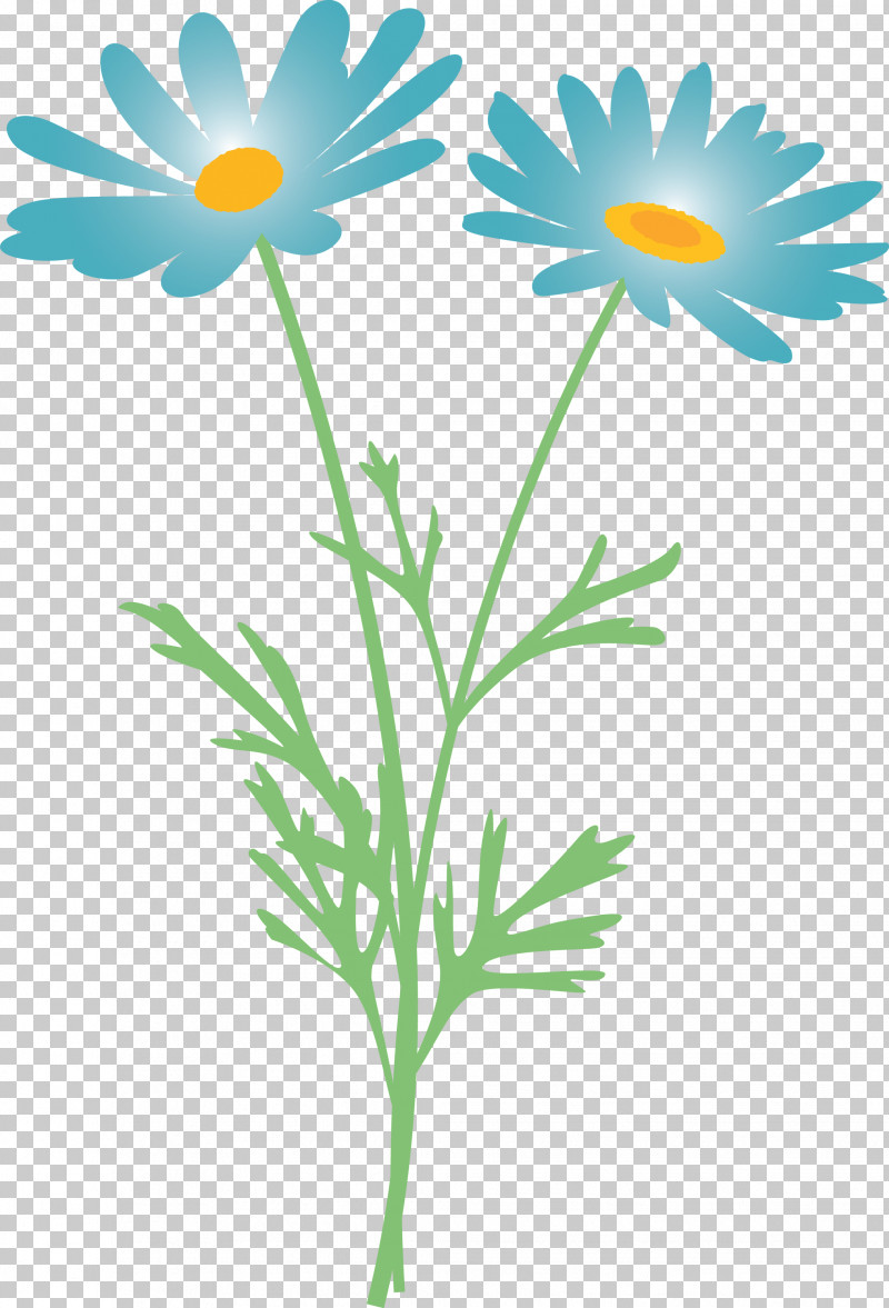 Marguerite Flower Spring Flower PNG, Clipart, Camomile, Chamaemelum Nobile, Chamomile, Daisy, Daisy Family Free PNG Download