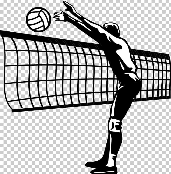 Florida Gators Women's Volleyball A1 Ethniki Volleyball Sport CEV Champions League PNG, Clipart, Area, Ball, Baseball Equipment, Black, Black And White Free PNG Download
