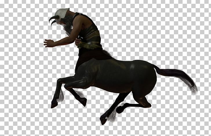 Mustang Pony Stallion Rein English Riding PNG, Clipart, Animal Figure, Bone, Character, English Riding, Equestrian Free PNG Download