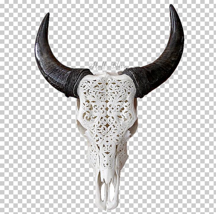 Texas Longhorn Skull Bull Goat PNG, Clipart, Anatomy, Animal, Antler, Bone, Bull Free PNG Download