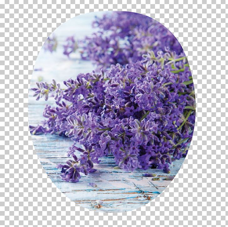 English Lavender Edible Flower Electronic Cigarette Aerosol And Liquid Kräuterspirale Thymes PNG, Clipart, Edible Flower, English Lavender, Flavor, Herb, Lavande Free PNG Download