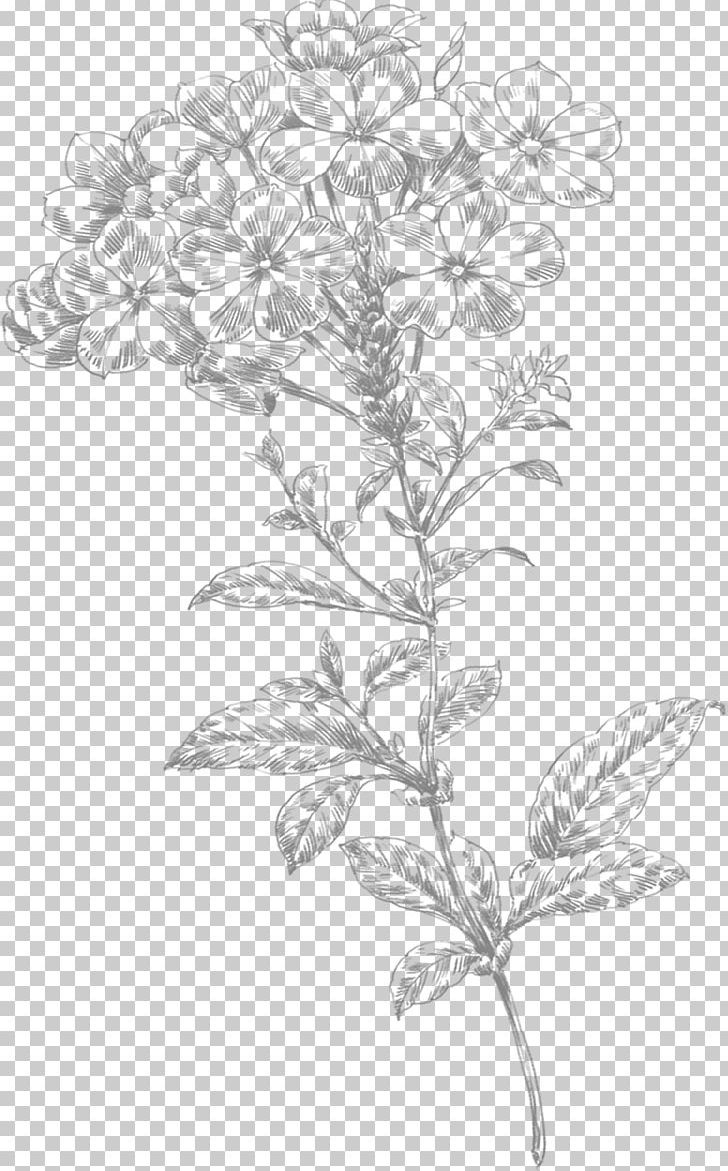 Line Art Flower Drawing PNG, Clipart, Abstract Lines, Art, Black, Branch, Decorative Free PNG Download