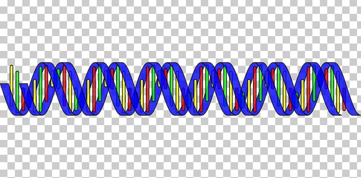 Nucleic Acid Double Helix DNA RNA PNG, Clipart, Base Pair, Blue, Brand, Clip Art, Dna Free PNG Download
