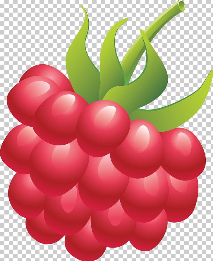 Raspberry Fruit PNG, Clipart, Accessory Fruit, Berry, Cherry, Computer Icons, Download Free PNG Download