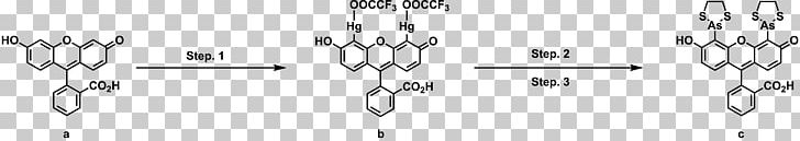 Research Fluorescence Thailand Science PNG, Clipart, Angle, Arm, Black And White, Chemistry, Exist Free PNG Download