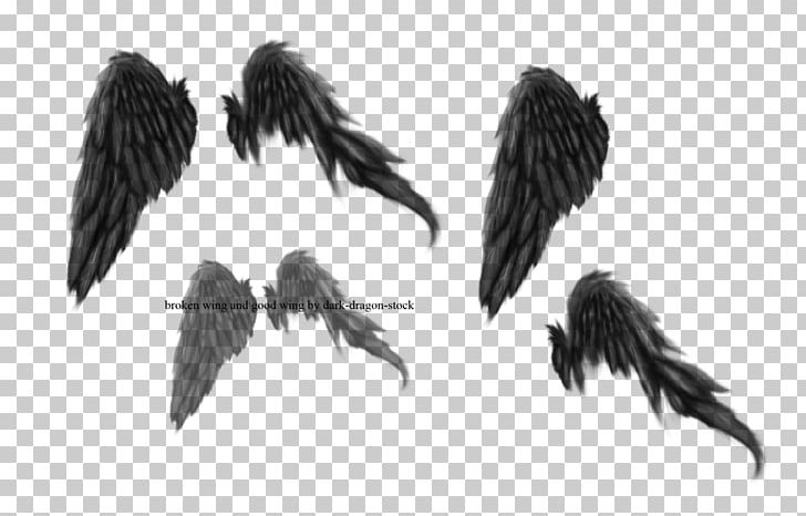 broken wings drawing