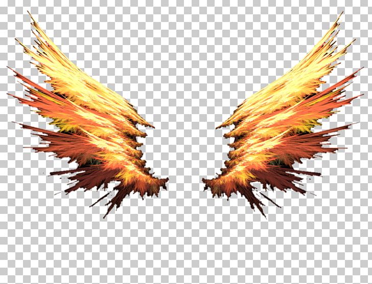 Flame Google PNG, Clipart, Background, Beak, Color, Dragon, Dynamic Free PNG Download