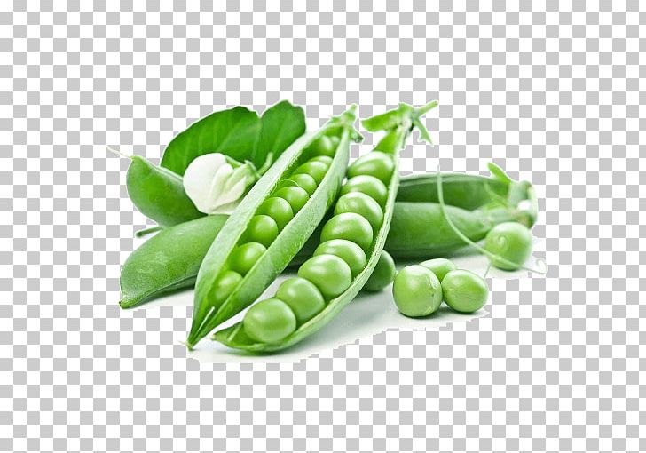 Pea Vegetable Food Legume Fruit PNG, Clipart, Bean, Broad Bean, Commodity, Common Bean, Food Free PNG Download