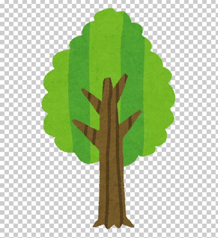 Tree Wood Branch Biomass PNG, Clipart,  Free PNG Download