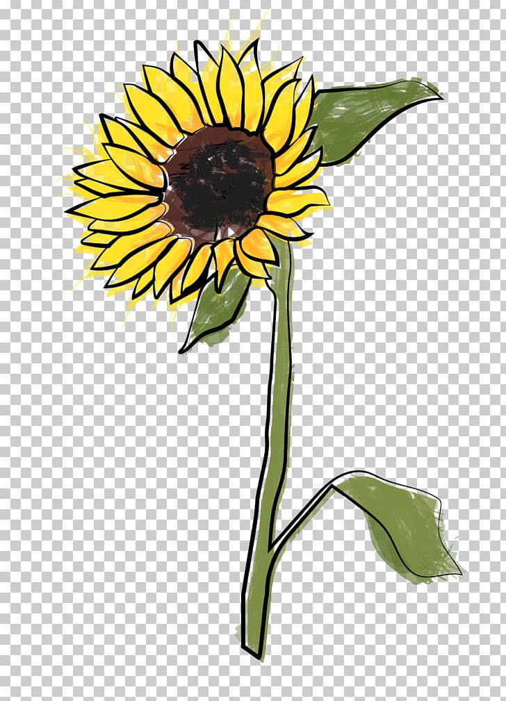 Common Sunflower Sunflower Seed Cut Flowers Plant Stem Petal PNG, Clipart, Common Sunflower, Cut Flowers, Daisy Family, Flower, Flowering Plant Free PNG Download