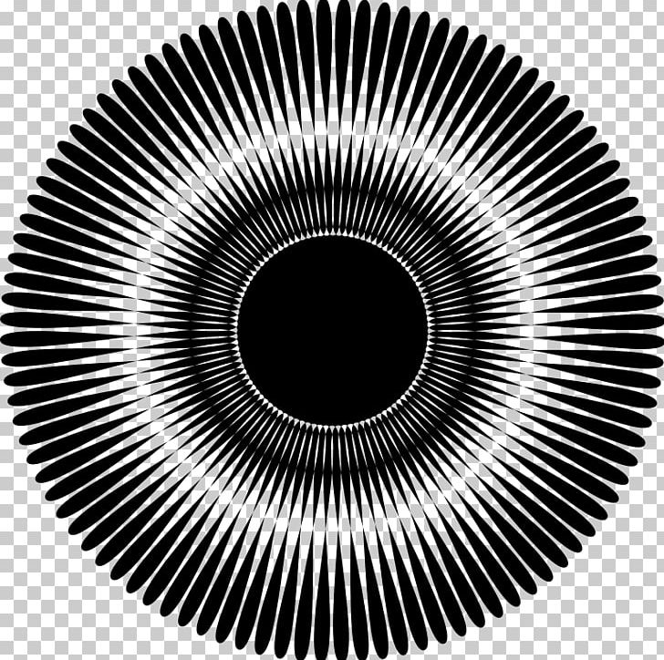 Moiré Pattern Mirror Light Giphy PNG, Clipart, Animated Film, Black And White, Business, Camera Lens, Canon Free PNG Download