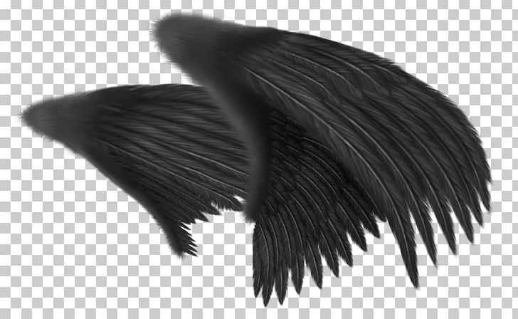 Wing Angel Feather PNG, Clipart, Angel, Art, Avatan, Avatan Plus, Black Free PNG Download