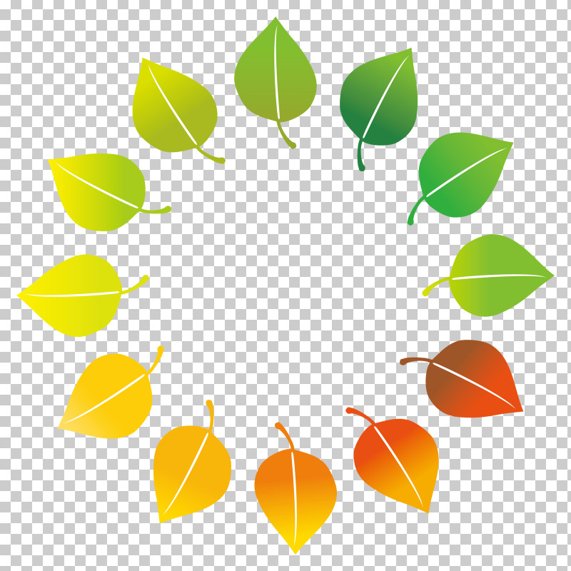 Orange PNG, Clipart, Citrus, Leaf, Line, Orange, Plant Free PNG Download