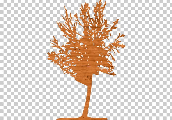 Tree Woody Plant Jalisco Segregated Cycle Facilities PNG, Clipart, Bicycle, Bordiura, Branch, Cycling, Good Morning Holy Spirit Free PNG Download