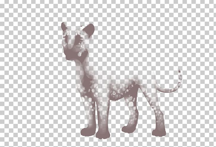 Whiskers Cat Dog Mammal Canidae PNG, Clipart, Canidae, Carnivoran, Cat, Cat Like Mammal, Dog Free PNG Download