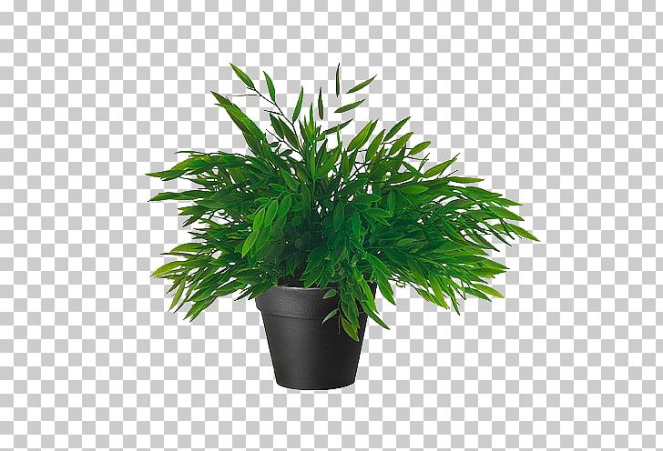 Window Blinds & Shades Houseplant IKEA Bamboo PNG, Clipart, Aloe, Amp, Arecales, Artificial Flower, Bamboo Free PNG Download
