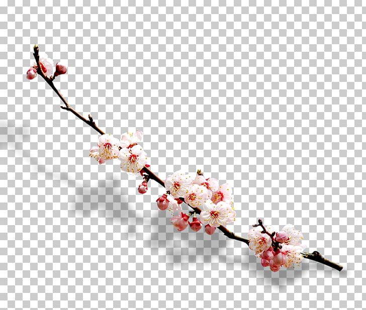Plum Blossom Red Ink Wash Painting PNG, Clipart, Branch, Cherry Blossom, Color, Computer Wallpaper, Flower Free PNG Download