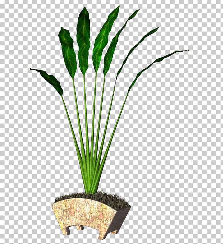 Flowerpot Ornamental Plant Leaf Plant Stem PNG, Clipart, Aime, Aquarium Decor, Chien, Elfe, Flower Free PNG Download