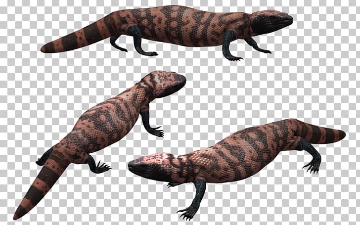 Gila Monster Lizard Poser Drawing Wildlife PNG, Clipart, Amphibian, Deviantart, Dicraeosaurus, Drawing, Fauna Free PNG Download