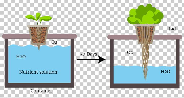 Passive Hydroponics Deep Water Culture Gardening Organic Hydroponics PNG, Clipart, Agriculture, Aquaponics, Bucket, Building, Deep Water Culture Free PNG Download