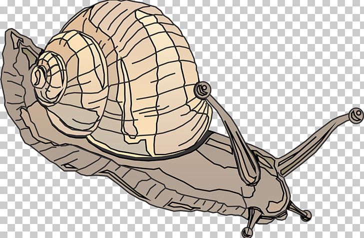 Snail Crocodile Exoskeleton PNG, Clipart, Anatomy, Cartoon, Crocodile, Endoskeleton, Exoskeleton Free PNG Download
